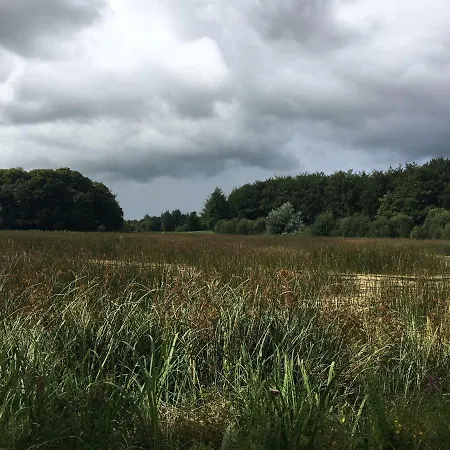 Curraghchase * Kilcornan