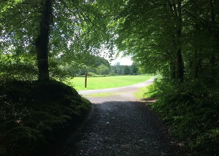 Curraghchase Apartamento Kilcornan