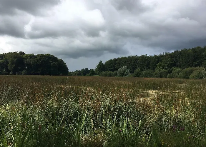 Curraghchase * Kilcornan